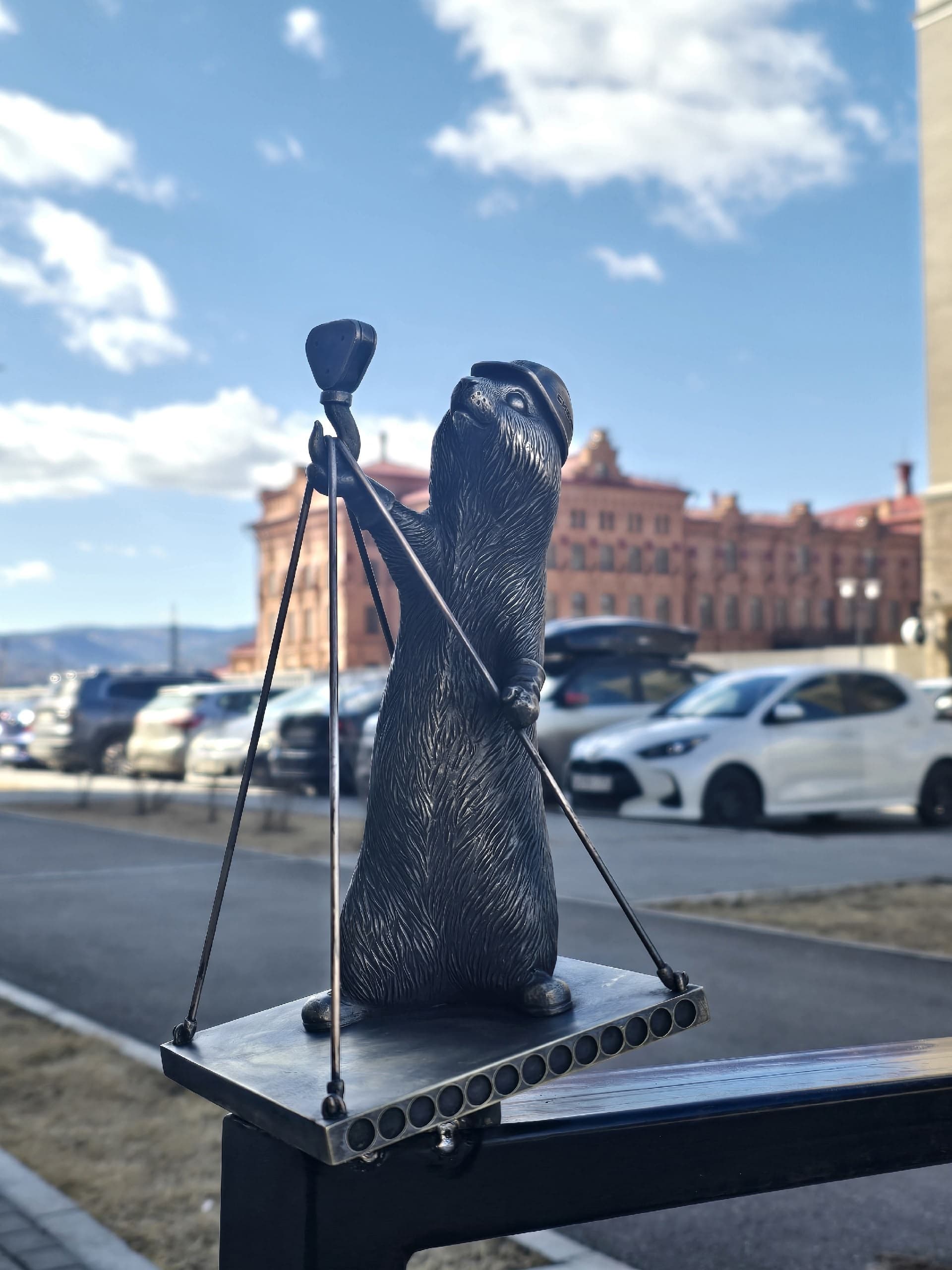 Новый суслик-строитель!